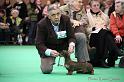 Crufts2011_2 1105